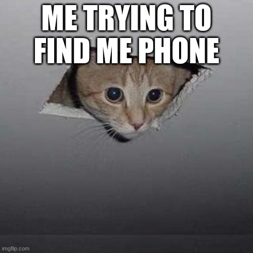 Ceiling Cat | ME TRYING TO FIND ME PHONE | image tagged in memes,ceiling cat | made w/ Imgflip meme maker