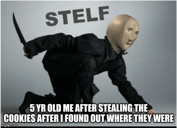 COOKIES | 5 YR OLD ME AFTER STEALING THE COOKIES AFTER I FOUND OUT WHERE THEY WERE | image tagged in stelf,sneekey | made w/ Imgflip meme maker