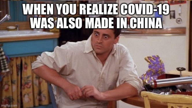 joey wide eyes | WHEN YOU REALIZE COVID-19 WAS ALSO MADE IN CHINA | image tagged in joey wide eyes | made w/ Imgflip meme maker