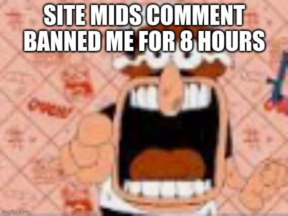 he said a bad word?!!?!??!? | SITE MIDS COMMENT BANNED ME FOR 8 HOURS | image tagged in he said a bad word | made w/ Imgflip meme maker