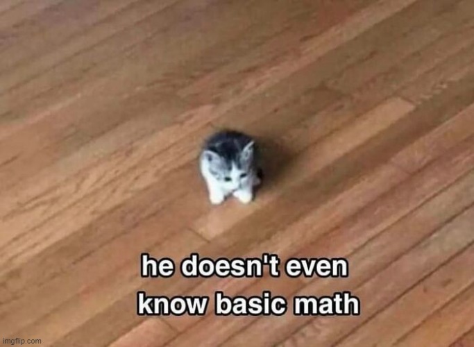 :( | image tagged in kitten | made w/ Imgflip meme maker