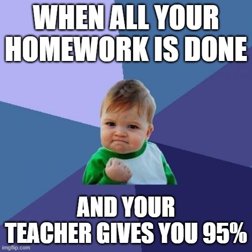 Success Kid | WHEN ALL YOUR HOMEWORK IS DONE; AND YOUR TEACHER GIVES YOU 95% | image tagged in memes,success kid | made w/ Imgflip meme maker