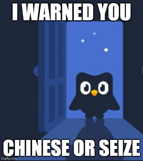 Duolingo bird | I WARNED YOU; CHINESE OR SEIZE | image tagged in duolingo bird,chinese | made w/ Imgflip meme maker