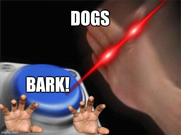 Intruder | DOGS; BARK! | image tagged in memes,blank nut button | made w/ Imgflip meme maker