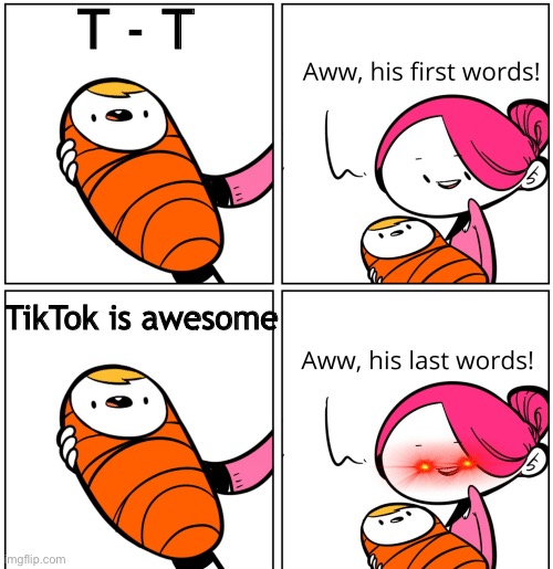 Aww, His Last Words | T - T; TikTok is awesome | image tagged in aww his last words,tiktok,imgflip | made w/ Imgflip meme maker