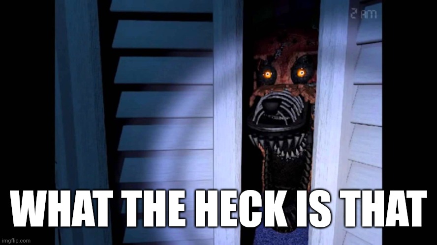 Foxy FNaF 4 | WHAT THE HECK IS THAT | image tagged in foxy fnaf 4 | made w/ Imgflip meme maker