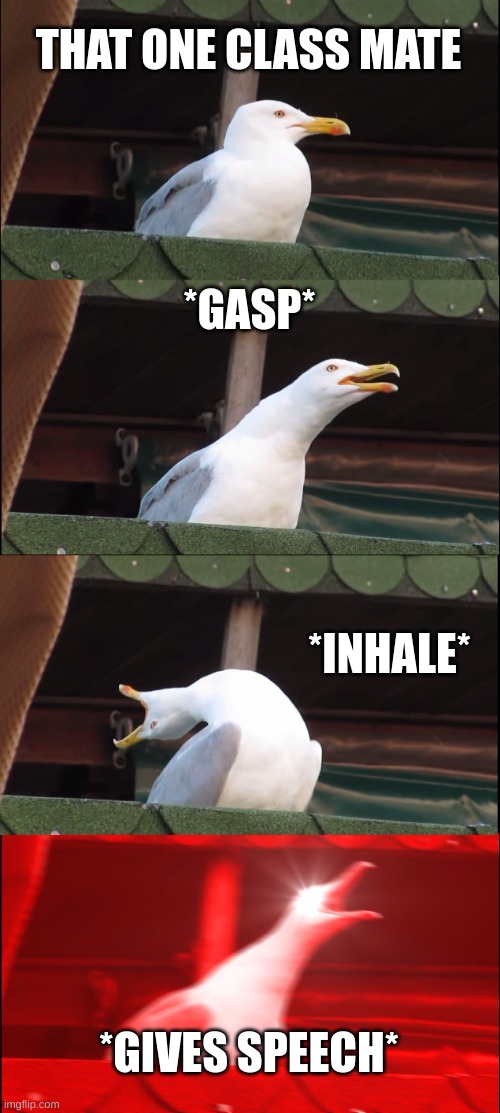 Speech | THAT ONE CLASS MATE; *GASP*; *INHALE*; *GIVES SPEECH* | image tagged in memes,inhaling seagull | made w/ Imgflip meme maker
