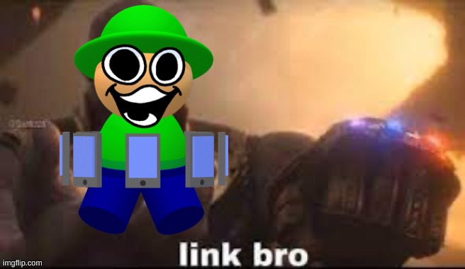 link bro | image tagged in link bro | made w/ Imgflip meme maker