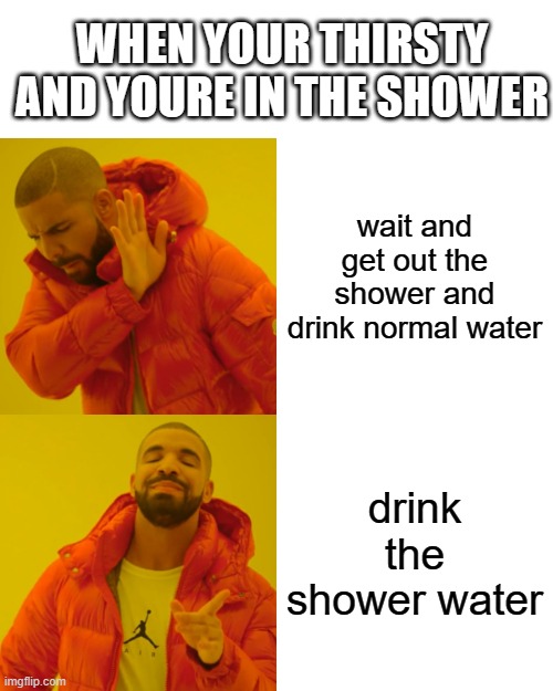 i do this too i can confirm | WHEN YOUR THIRSTY AND YOURE IN THE SHOWER; wait and get out the shower and drink normal water; drink the shower water | image tagged in memes,drake hotline bling | made w/ Imgflip meme maker