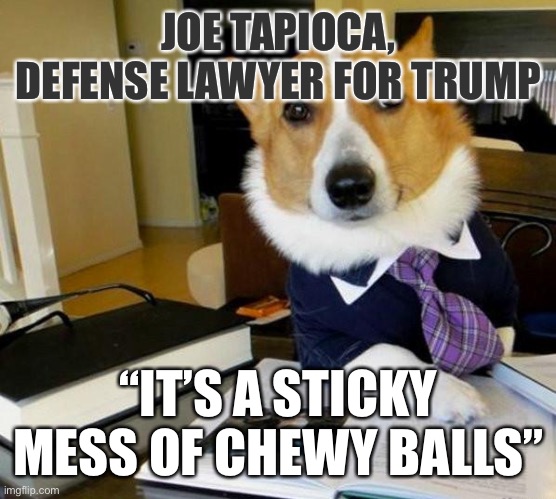 Lawyer Corgi Dog | JOE TAPIOCA, DEFENSE LAWYER FOR TRUMP; “IT’S A STICKY MESS OF CHEWY BALLS” | image tagged in lawyer corgi dog,memes | made w/ Imgflip meme maker