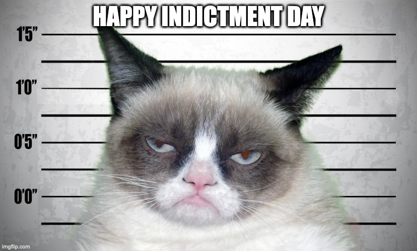 Happy  Indictment Day | HAPPY INDICTMENT DAY | image tagged in grumpy cat,indictment | made w/ Imgflip meme maker