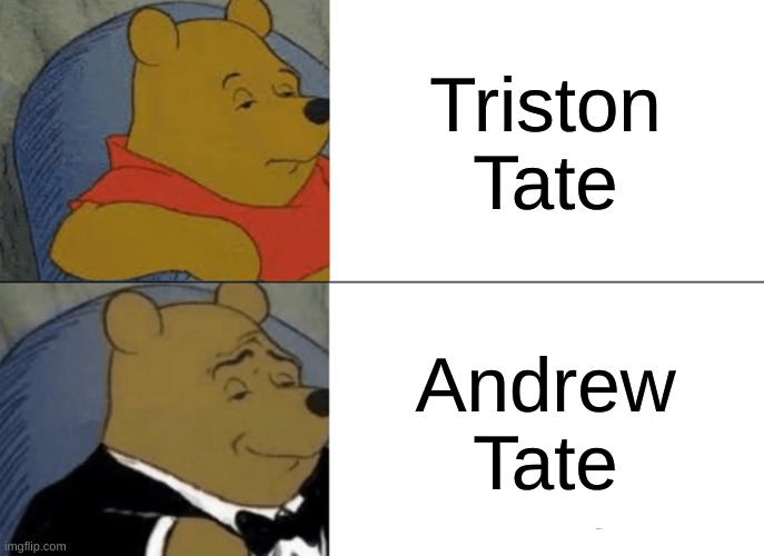 Tuxedo Winnie The Pooh Meme | Triston Tate; Andrew Tate | image tagged in memes,tuxedo winnie the pooh | made w/ Imgflip meme maker