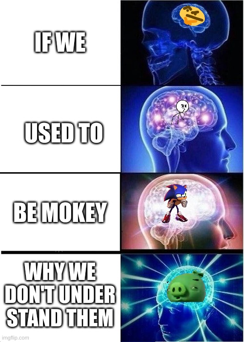 mokey | IF WE; USED TO; BE MOKEY; WHY WE DON'T UNDER STAND THEM | image tagged in memes,expanding brain | made w/ Imgflip meme maker