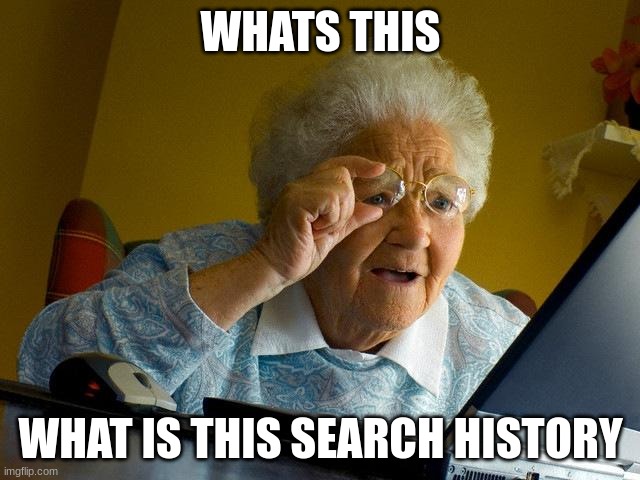 Grandma Finds The Internet | WHATS THIS; WHAT IS THIS SEARCH HISTORY | image tagged in memes,grandma finds the internet | made w/ Imgflip meme maker