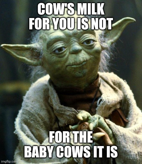 Listen to Yoda | COW'S MILK FOR YOU IS NOT; FOR THE BABY COWS IT IS | image tagged in memes,star wars yoda,vegan,veganism,animal rights,star wars | made w/ Imgflip meme maker