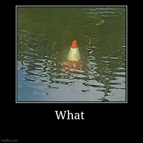 Why is the cone in the water? | image tagged in funny,demotivationals | made w/ Imgflip demotivational maker