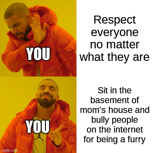 Drake Hotline Bling Meme | Respect everyone no matter what they are Sit in the basement of mom's house and bully people on the internet for being a furry YOU YOU | image tagged in memes,drake hotline bling | made w/ Imgflip meme maker