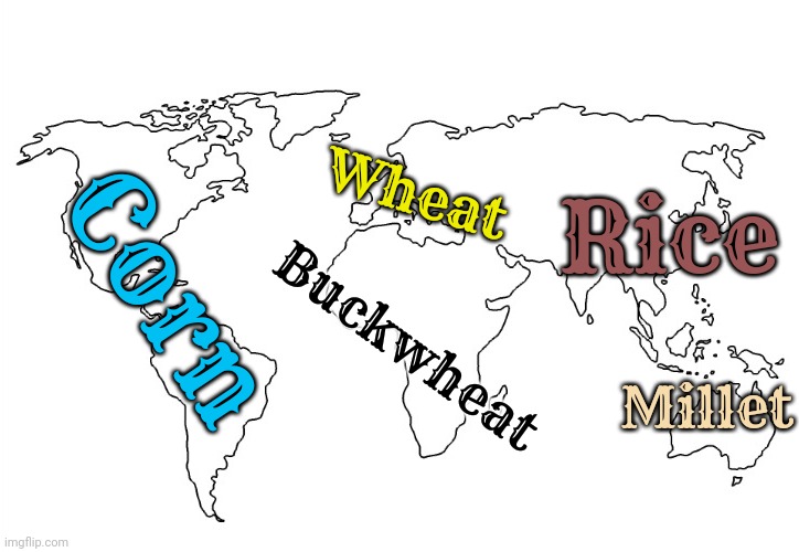Popular native grains, by continent. | Wheat; Rice; Corn; Buckwheat; Millet | image tagged in world map without borders,whole foods,traditions,ancient,history | made w/ Imgflip meme maker
