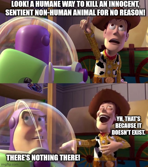 No Humane Way To Murder | LOOK! A HUMANE WAY TO KILL AN INNOCENT, SENTIENT NON-HUMAN ANIMAL FOR NO REASON! YH, THAT'S BECAUSE IT DOESN'T EXIST. THERE'S NOTHING THERE! | image tagged in toy story funny scene,buzz and woody,disney,meat,vegan,vegans | made w/ Imgflip meme maker