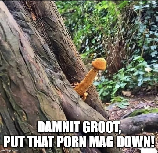 I am Grooooooot | DAMNIT GROOT, PUT THAT PORN MAG DOWN! | image tagged in groot | made w/ Imgflip meme maker