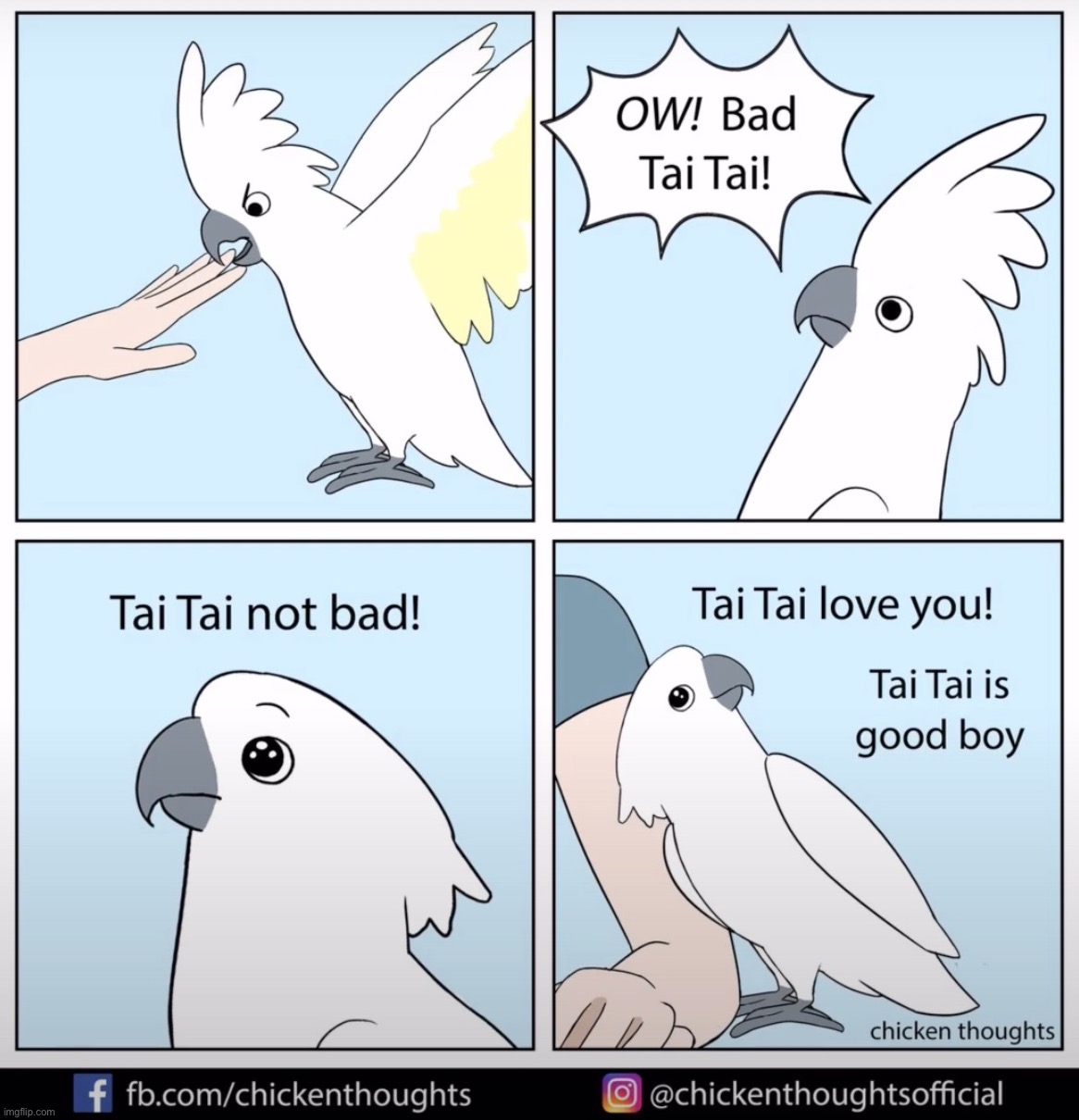 Birb comic: Tai Tai | image tagged in birb,comics | made w/ Imgflip meme maker