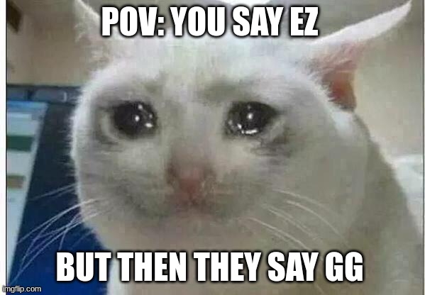 crying cat | POV: YOU SAY EZ; BUT THEN THEY SAY GG | image tagged in crying cat,fyp,funny,sad | made w/ Imgflip meme maker