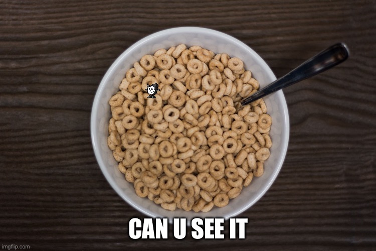 I found this in my cereal | CAN U SEE IT | image tagged in bowl of cheerios | made w/ Imgflip meme maker