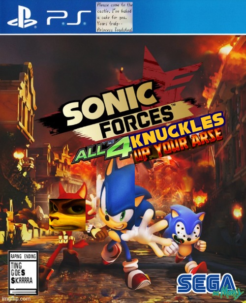 Expand Dong 3 | image tagged in sonic the hedgehog,sonic forces,sega,expand dong | made w/ Imgflip meme maker
