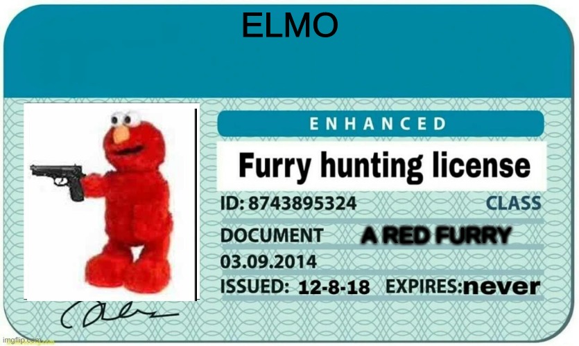 furry hunting license | ELMO; A RED FURRY | image tagged in furry hunting license | made w/ Imgflip meme maker