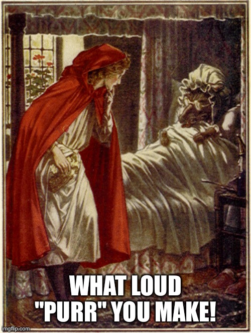 little red riding hood | WHAT LOUD "PURR" YOU MAKE! | image tagged in little red riding hood | made w/ Imgflip meme maker