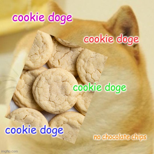 cookie doge | cookie doge; cookie doge; cookie doge; cookie doge; no chocolate chips | image tagged in memes,doge | made w/ Imgflip meme maker