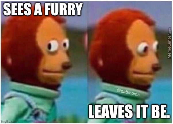 Stop bullying furries | SEES A FURRY; LEAVES IT BE. | image tagged in akward | made w/ Imgflip meme maker