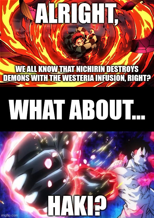 Discussion time with the ZanyBadboy | ALRIGHT, WE ALL KNOW THAT NICHIRIN DESTROYS DEMONS WITH THE WESTERIA INFUSION, RIGHT? WHAT ABOUT... HAKI? | image tagged in demon slayer,one piece,discussion | made w/ Imgflip meme maker