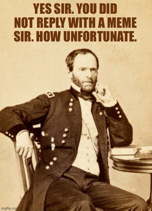YES SIR. YOU DID NOT REPLY WITH A MEME SIR. HOW UNFORTUNATE. | image tagged in thinking sherman | made w/ Imgflip meme maker