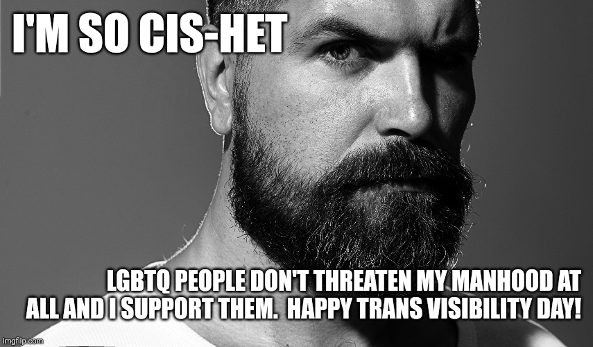 (mod note: aw, ty <3) | I'M SO CIS-HET; LGBTQ PEOPLE DON'T THREATEN MY MANHOOD AT ALL AND I SUPPORT THEM.  HAPPY TRANS VISIBILITY DAY! | image tagged in international trangender day of visibility,healthy masculinity | made w/ Imgflip meme maker