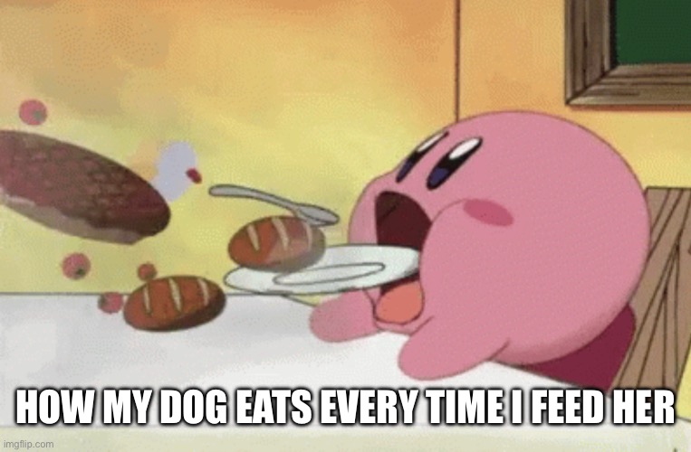 How My Dog Eats | HOW MY DOG EATS EVERY TIME I FEED HER | image tagged in kirby food,dogs,eating,food,vacuum | made w/ Imgflip meme maker