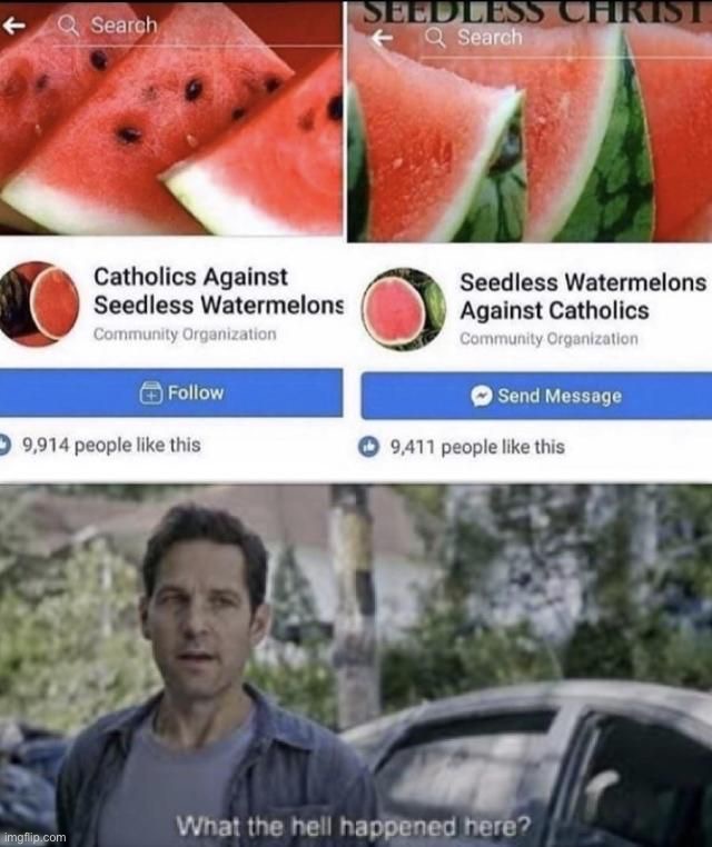 image tagged in memes,funny | made w/ Imgflip meme maker