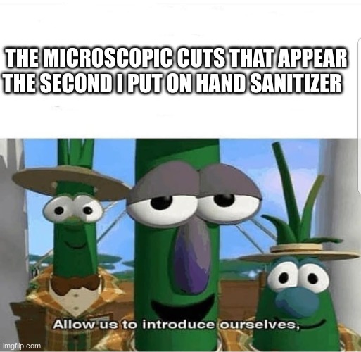 BRUH WHYYYYYY | THE MICROSCOPIC CUTS THAT APPEAR THE SECOND I PUT ON HAND SANITIZER | image tagged in allow us to introduce ourselves | made w/ Imgflip meme maker