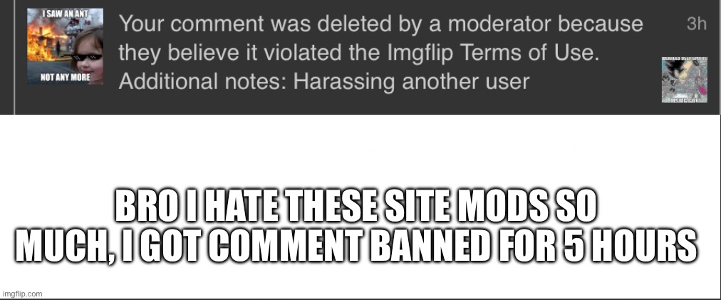 L (mod note: community mods L) | BRO I HATE THESE SITE MODS SO MUCH, I GOT COMMENT BANNED FOR 5 HOURS | image tagged in white bar | made w/ Imgflip meme maker