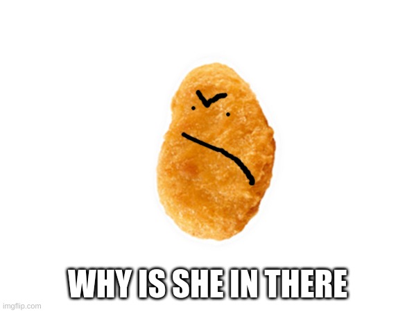 WHY IS SHE IN THERE | made w/ Imgflip meme maker