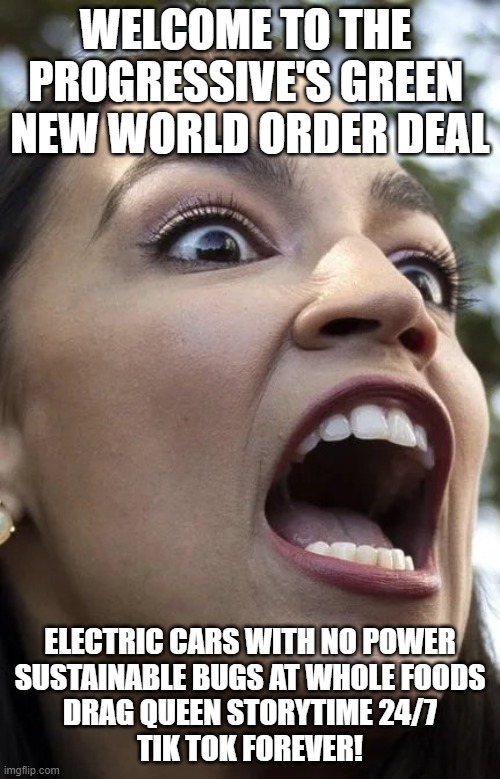 What are you trying to say, #AOC? | WELCOME TO THE 
PROGRESSIVE'S GREEN 
NEW WORLD ORDER DEAL; ELECTRIC CARS WITH NO POWER
SUSTAINABLE BUGS AT WHOLE FOODS
DRAG QUEEN STORYTIME 24/7
TIK TOK FOREVER! | image tagged in aoc,tik tok,progressives,bugs | made w/ Imgflip meme maker