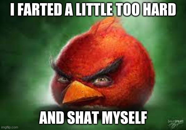 Realistic Red Angry Birds | I FARTED A LITTLE TOO HARD; AND SHAT MYSELF | image tagged in realistic red angry birds | made w/ Imgflip meme maker