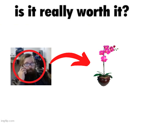 Your flowers aren't worth it. (POMUASGMITC day 15.) | image tagged in is it really worth it | made w/ Imgflip meme maker