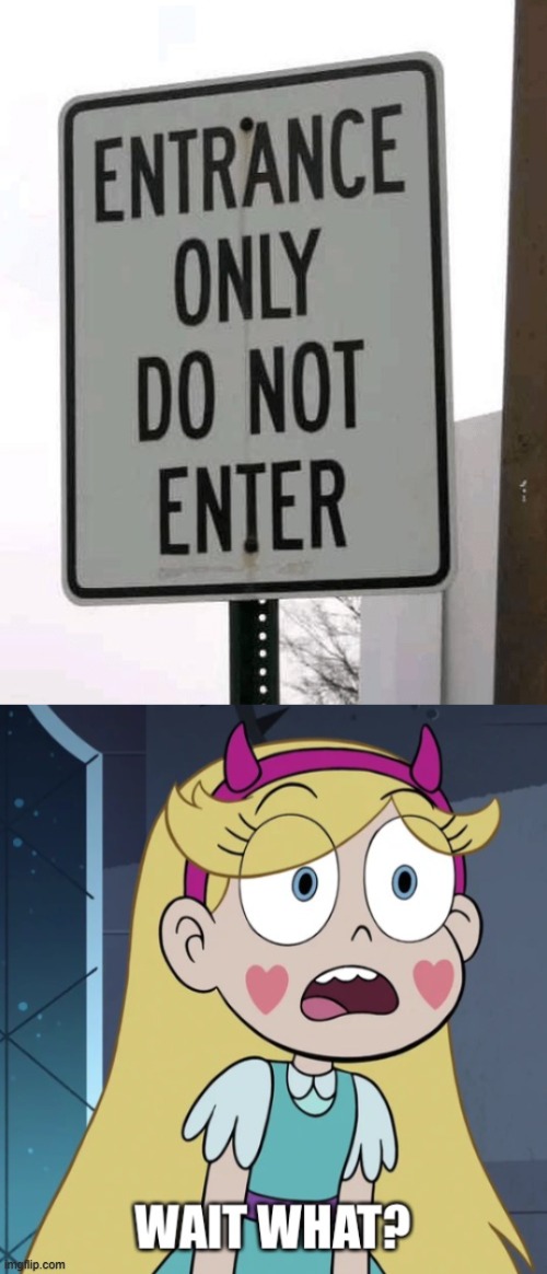 What??? | image tagged in star butterfly wait what,star vs the forces of evil,you had one job,memes | made w/ Imgflip meme maker