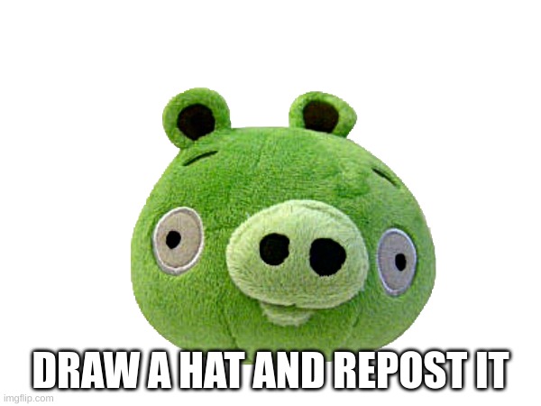 draw a hat on him | DRAW A HAT AND REPOST IT | made w/ Imgflip meme maker