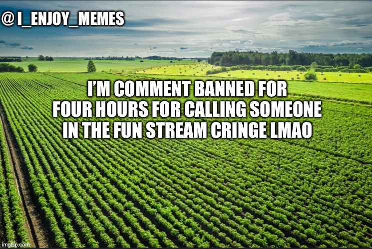 I_enjoy_memes_template | I’M COMMENT BANNED FOR FOUR HOURS FOR CALLING SOMEONE IN THE FUN STREAM CRINGE LMAO | image tagged in i_enjoy_memes_template | made w/ Imgflip meme maker