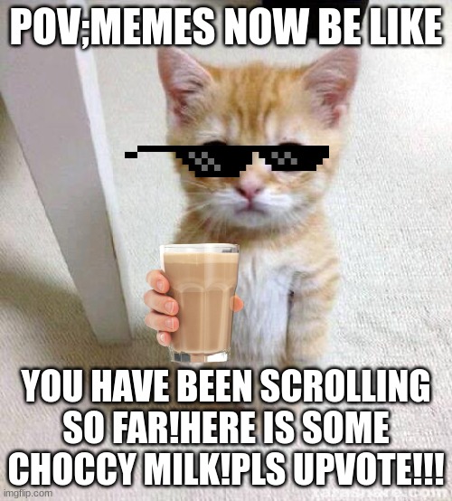 pov memes now | POV;MEMES NOW BE LIKE; YOU HAVE BEEN SCROLLING SO FAR!HERE IS SOME CHOCCY MILK!PLS UPVOTE!!! | image tagged in memes,cute cat,choccy milk | made w/ Imgflip meme maker