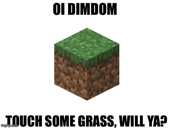 Touchsomegrass | OI DIMDOM; TOUCH SOME GRASS, WILL YA? | image tagged in blank white template,legolas | made w/ Imgflip meme maker