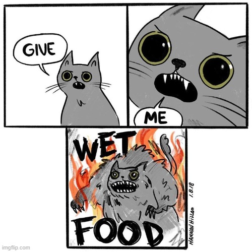 image tagged in cat,angry,wet,food | made w/ Imgflip meme maker