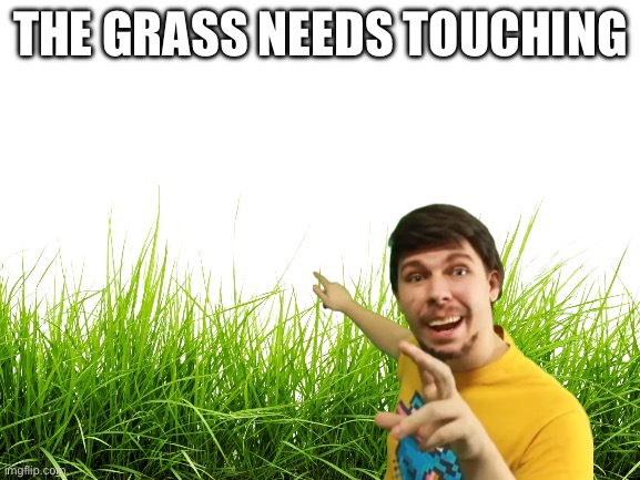 GRASS | THE GRASS NEEDS TOUCHING | image tagged in legolas | made w/ Imgflip meme maker